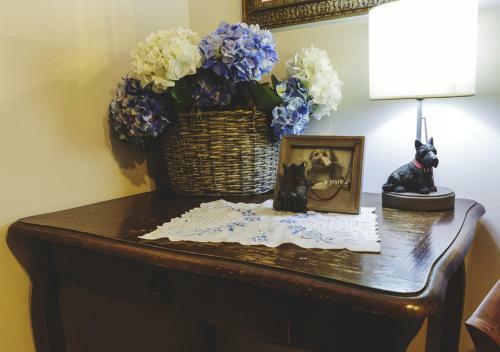 Bed & Breakfast Bosco D'olmi Country House
