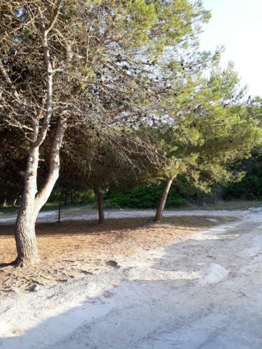 Casa La Pineta