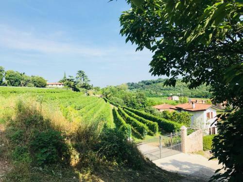 Valpolicella Homes Recioto Apartment