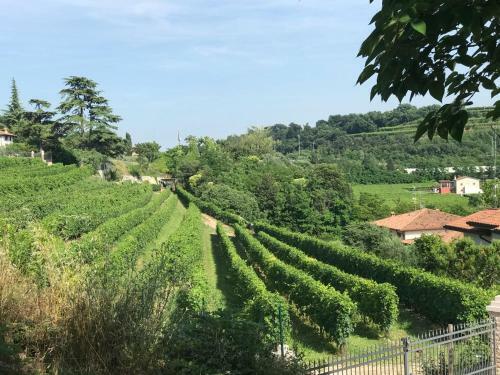 Valpolicella Homes Recioto Apartment