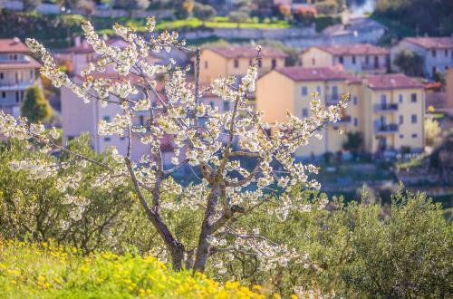 Valpolicella Homes Recioto Apartment