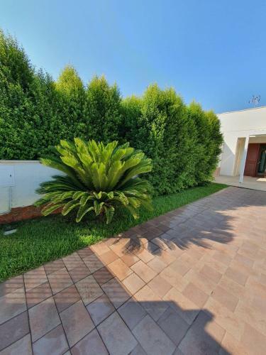 Apartamento Villetta Torre Saracena