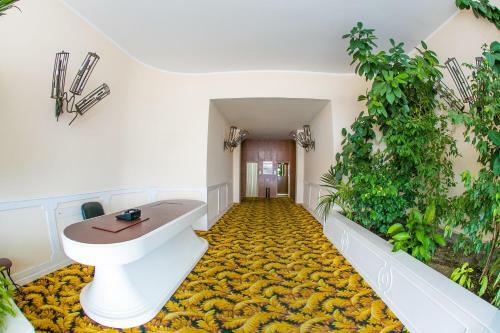 Eden Apartment