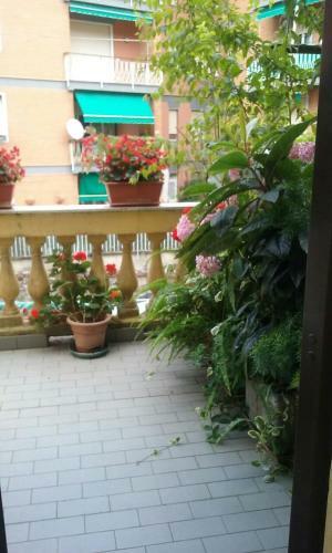 Hostal Sabini Rentals - Affittacamere