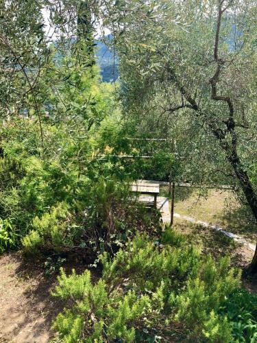 Apartamento Villa La Sariandola
