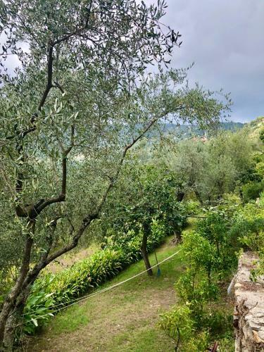 Apartamento Villa La Sariandola