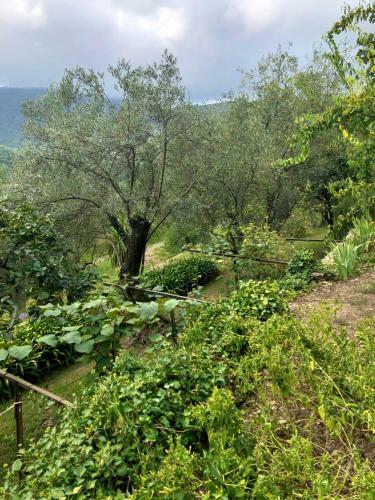 Apartamento Villa La Sariandola