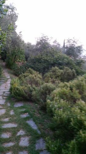 Apartamento Villa La Sariandola