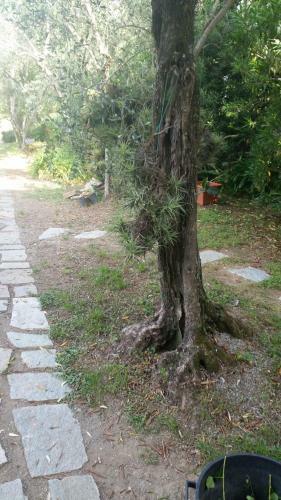 Apartamento Villa La Sariandola