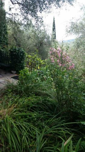 Apartamento Villa La Sariandola