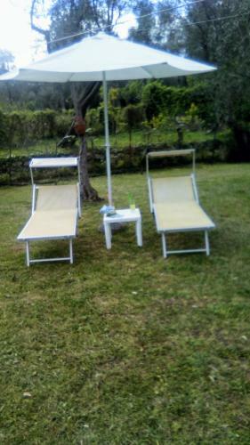 Lo Chalet Tra Gli Ulivi