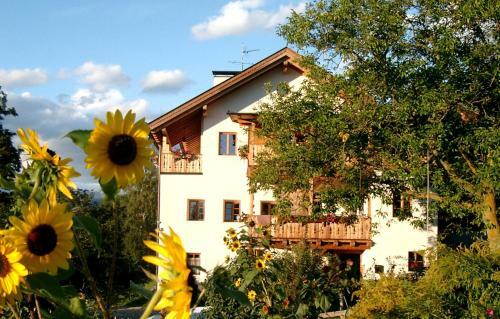 Apartamento Fr�tscherhof Linde