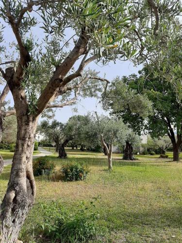 Apartamento Sole E Mare Appartamento Nel Villaggio