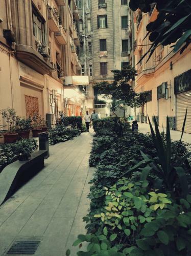 Albergue Cairo House