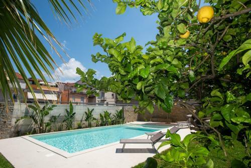 Apartamento Villa Rosa Residence