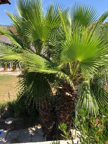Apartamento Villa Giglio