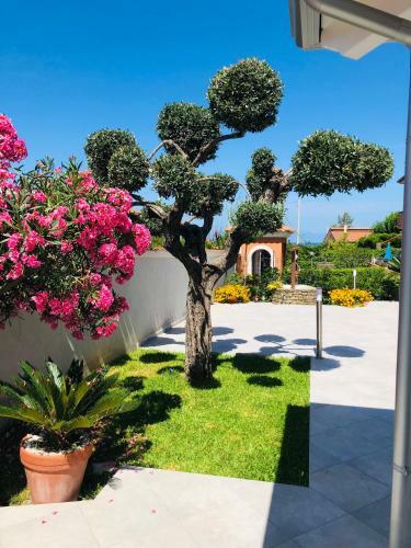 Invilla Bed&breakfast