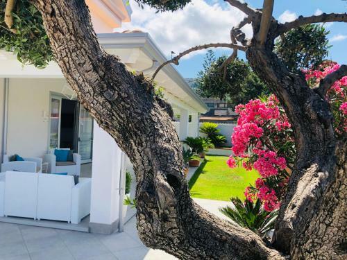 Invilla Bed&breakfast