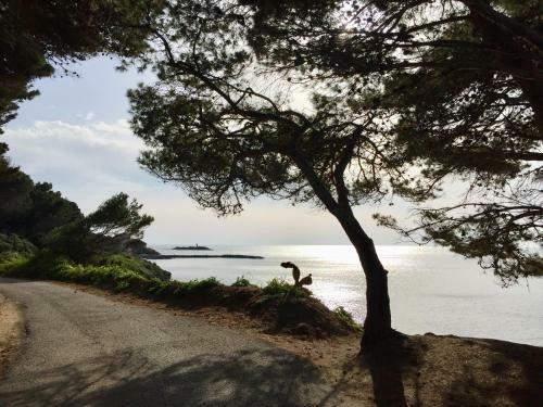 Apartamento Enza Vacanze