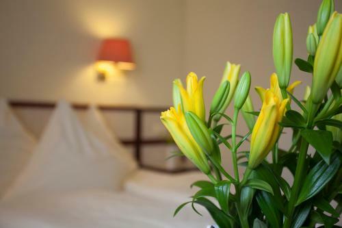 Hotel Haus Union