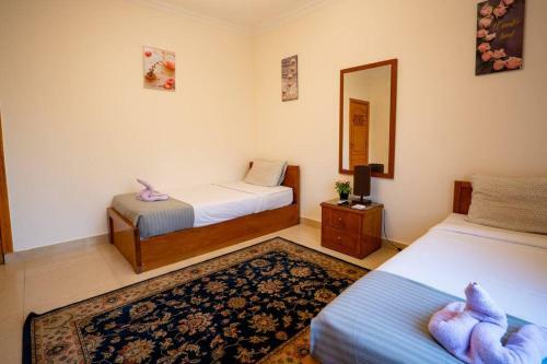 Elegant Bright & Cozy Apartment Near Downtown Mall
