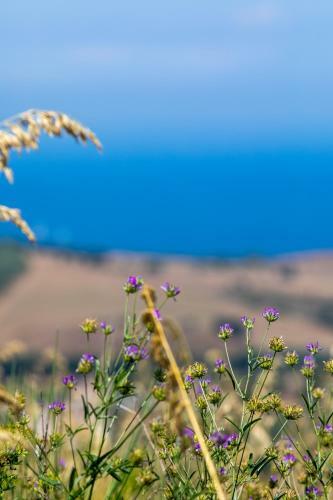 Apartamento Il Panorama Housing Cilento