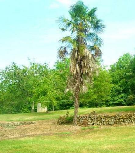 Maison de 3 Chambres Avec Jardin Clos Et Wifi A Bussac
