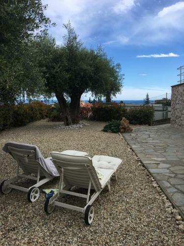 Apartamento Appartamento Degli Ulivi