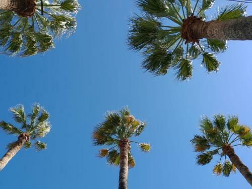 Apartamento Casa Vacanza Sanremo