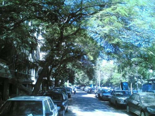 Apartamento Mohandssen Cairo