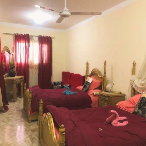Bed & Breakfast Jana Pyramids View Inn