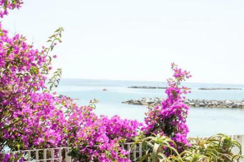 Apartamento Rosa Centralissimo