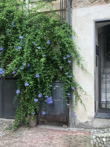 Apartamento Sanremo Casa Mille