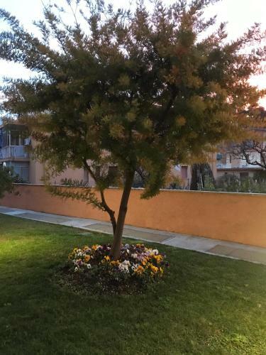 Apartamento Carlo's Vm129 Da Maurizio