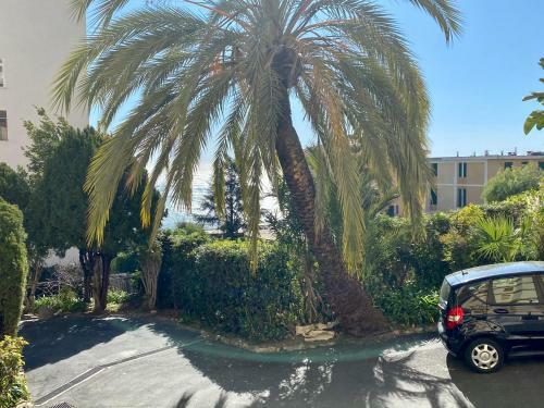 Apartamento Bilocale Vista Mare