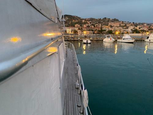 Delphin IV