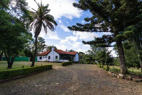 Hostal Eldopalm Guesthouse