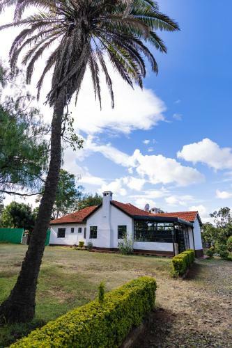 Hostal Eldopalm Guesthouse