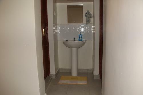 Kirans 1 Bedroom Beautiful Apartment