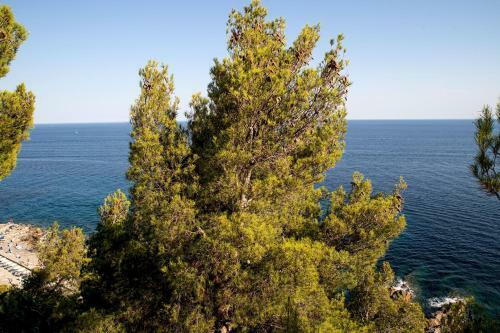 Apartamento Italianway - Marconi 442