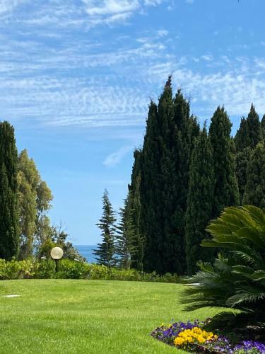 Apartamento Il Mare Sotto Casa
