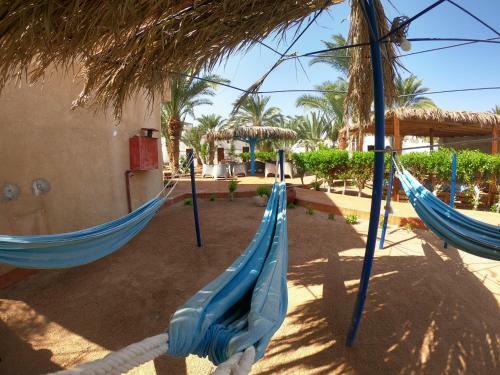 Hotel ?miramar Camp Dahab??