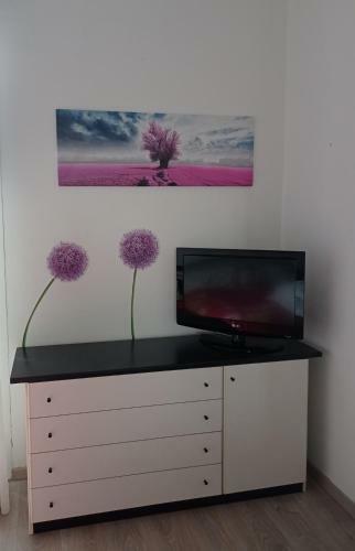 Apartamento Alishome City Centre-beach-ariston-casino