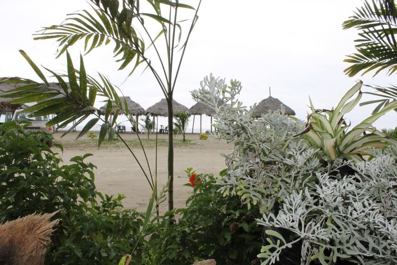 Bed & Breakfast Wipeout Caba�a Restaurant