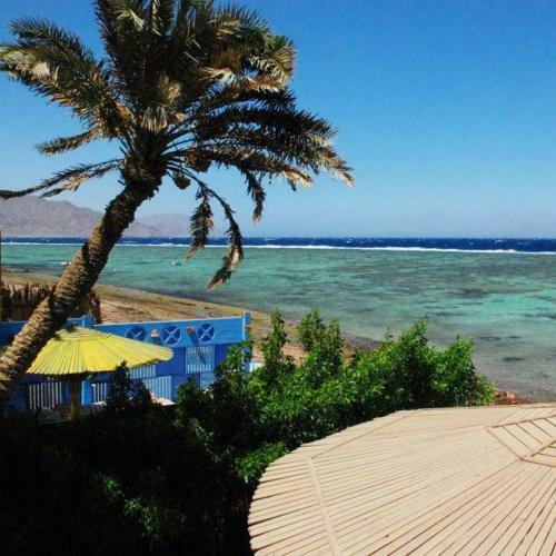 Hibiscus Dahab House