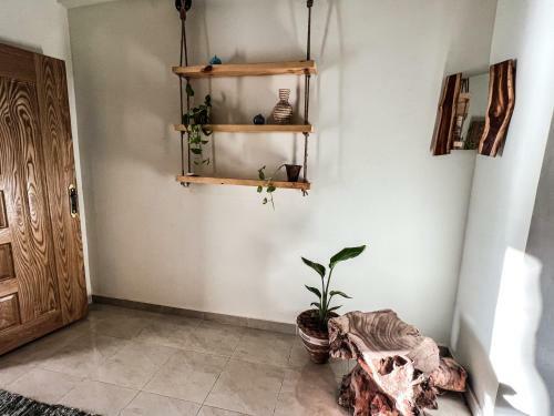 Apartamento Beachfront 1-bedroom Among The Mountains
