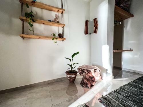 Apartamento Beachfront 1-bedroom Among The Mountains