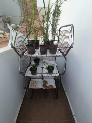 Apartamento Dahab Blue Hole
