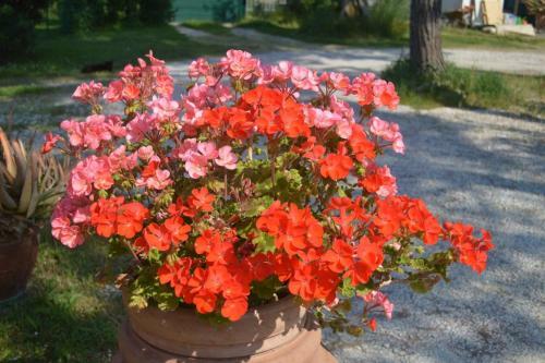 B&B Tenuta Zavaia