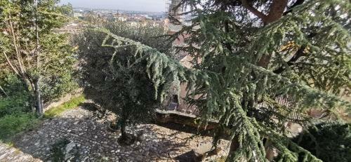 Apartamento Suite Dream - Santarcangelo Di Romagna - 500m Dal Centro Citt� E Centro Storico